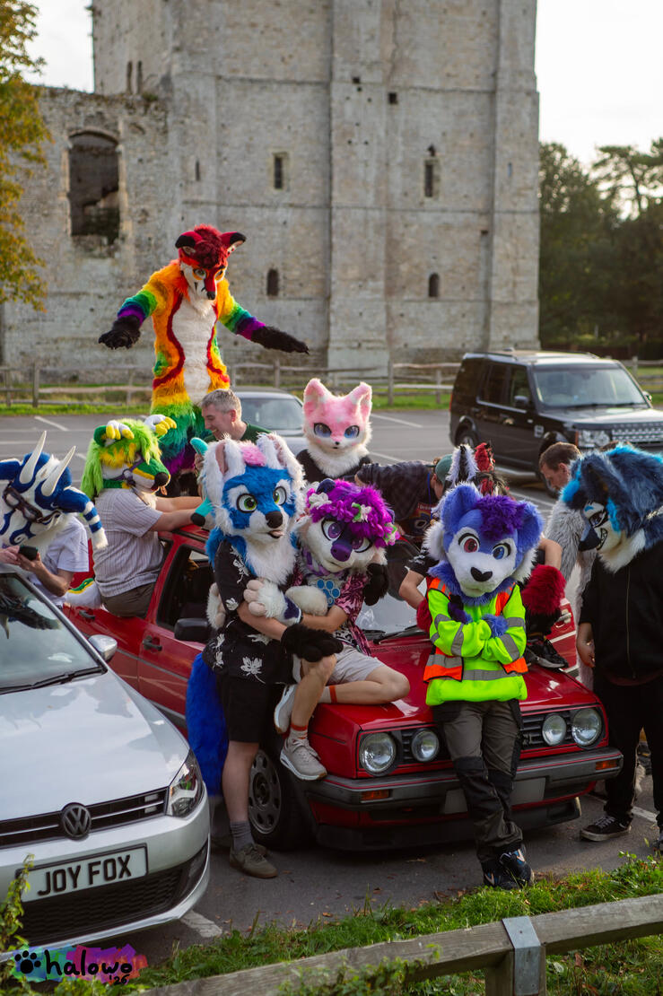 A group photo with everyone sat on a red Volkswagen Golf GTI A group photo with everyone sat on a red Volkswagen Golf GTI