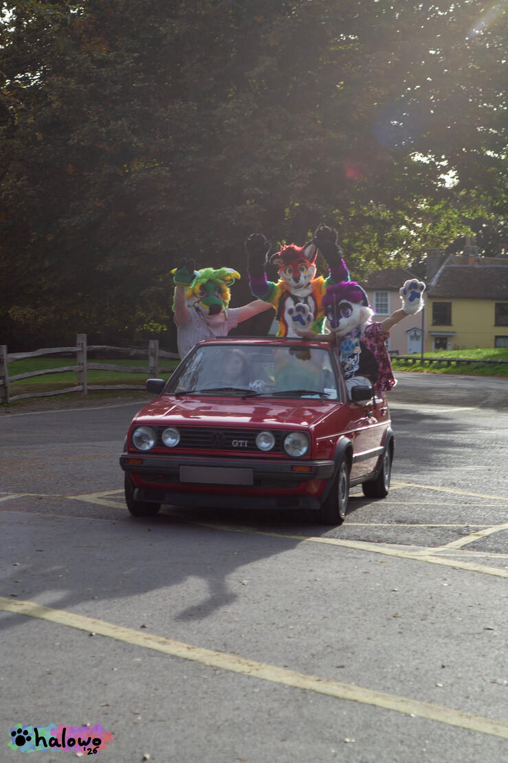 Osprey, Topaz and Neo Moonpaw waving out the windows of a red Volkswagen Golf GTI Osprey, Topaz and Neo Moonpaw waving out the windows of a red Volkswagen Golf GTI